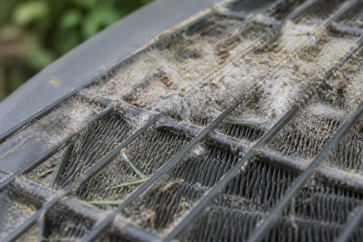 Cottonwood fluff, pollen, and fir needles caught on an outdoor condenser coil