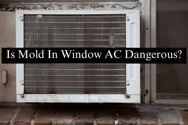 mold in window ac