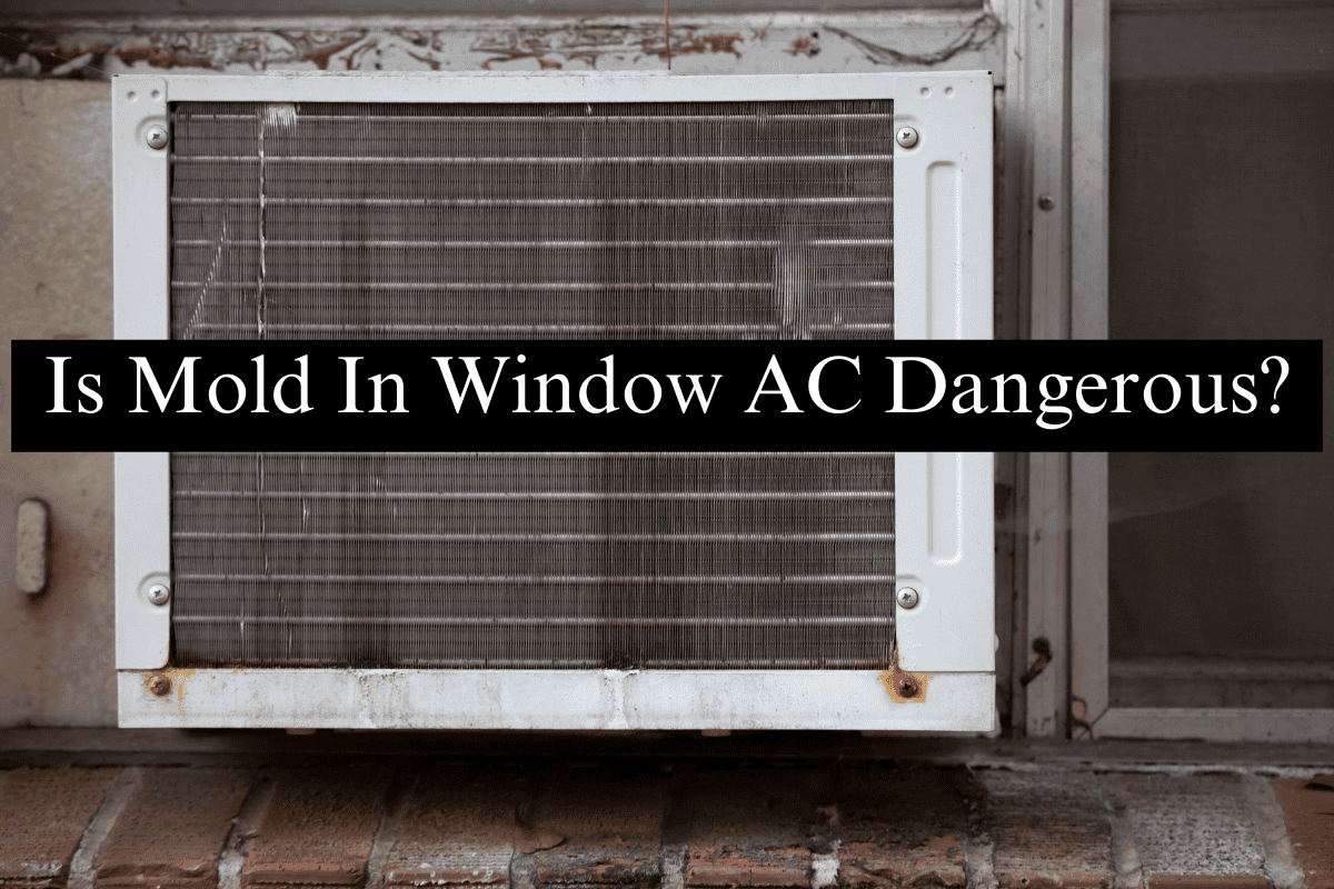 How To Prevent Mold In Window Ac Mold in Window AC Unit? How to Clean, Inspect, and Prevent It